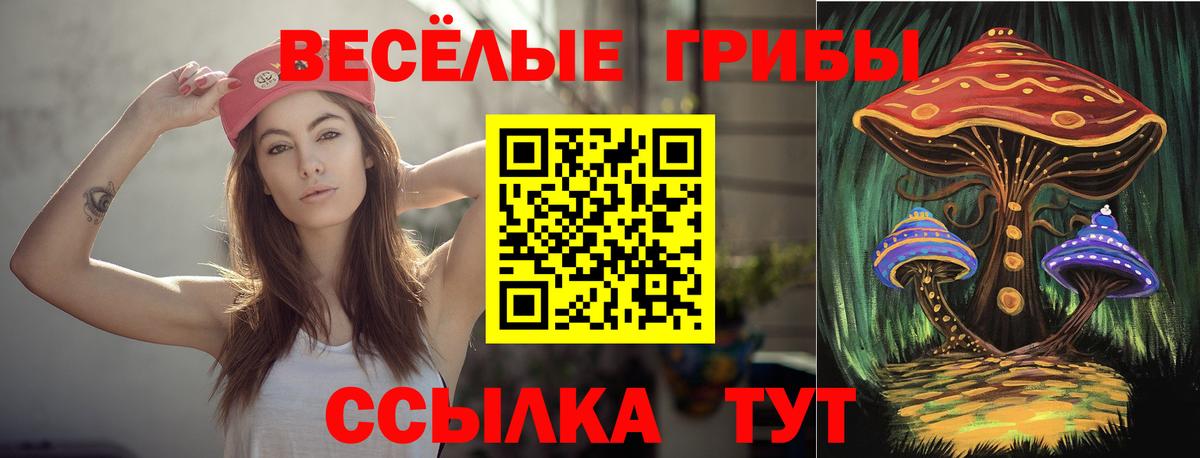 Псилоцибиновые грибы ЛСД  Псилоцибиновые грибы прущие грибы  Вход с VPN  Химки 