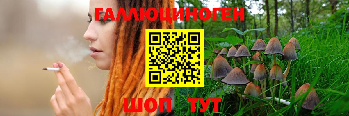 Псилоцибиновые грибы мухоморы Химки
