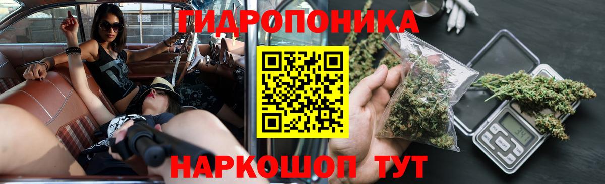 Бошки Шишки Bruce Banner  Конопля Ganja  Химки  Вход с VPN  Каннабис гибрид  Бошки марихуана планчик 
